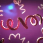 cara mengobati sipilis - cara mengatasi sipilis - cara menyembuhkan sipilis - cara menghilangkan luka sipilis tanpa bekas - cara mengobati sipilis pada pria dan wanita